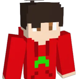 MR_12 Minecraft avatar bust