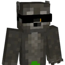 MR_RACCOON7