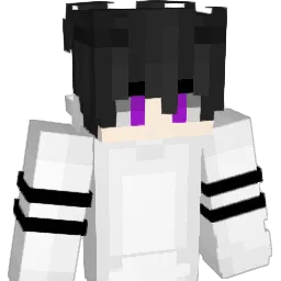 MW_RISE_FR's Minecraft skin
