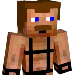 Macheta_Play Minecraft avatar bust