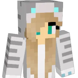 MajorSkillage14 Minecraft avatar bust