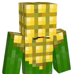 Major_21_ Minecraft avatar bust