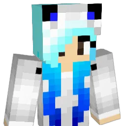 Majula_308 Minecraft avatar bust