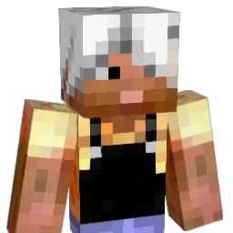 Malibou29 Minecraft avatar bust
