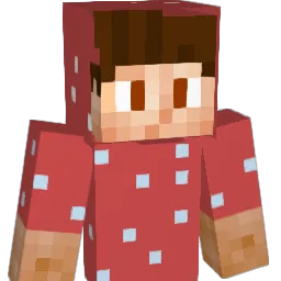 Malina_888 Minecraft avatar bust