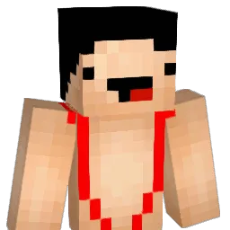Mankinisurfer Minecraft avatar bust