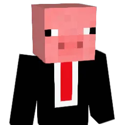 MarcinGames1232 Minecraft avatar bust