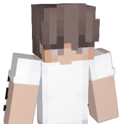 Marekcz08 Minecraft avatar bust
