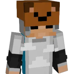 Mashu_Bear Minecraft avatar bust