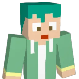 Math0118 Minecraft avatar bust