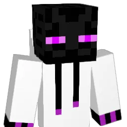 MathSolver467 Minecraft avatar bust