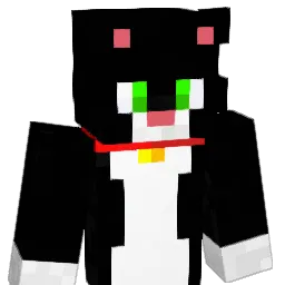 Matheo974st Minecraft avatar bust