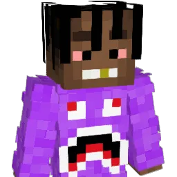 Matias12340987_ Minecraft avatar bust