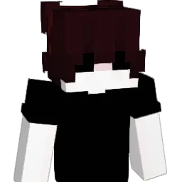 Matrix97_ Minecraft avatar bust
