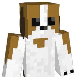 Mattlox05 Minecraft avatar bust