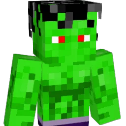 Maury23 Minecraft avatar bust
