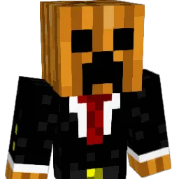 Max058 Minecraft avatar bust