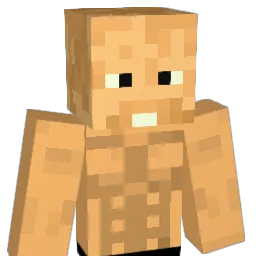 Max495's Minecraft skin