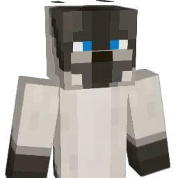 Maxwell_Bear
