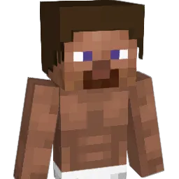 Mayank_1108 Minecraft avatar bust