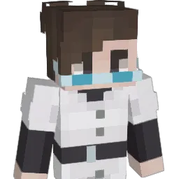 McToast_ Minecraft avatar bust