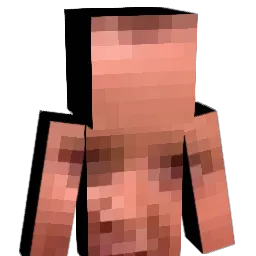 Mcbruh1 Minecraft avatar bust