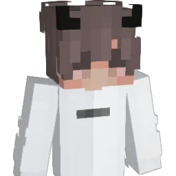 Mdr_Einstein Minecraft avatar bust