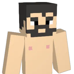 MeTro333 Minecraft avatar bust