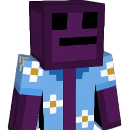 MeViaNs Minecraft avatar bust