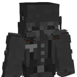 Meatstorage Minecraft avatar bust