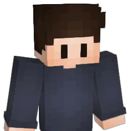Medias_ Minecraft avatar bust