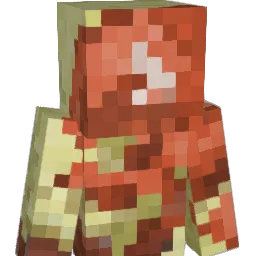 MeetPi's Minecraft skin