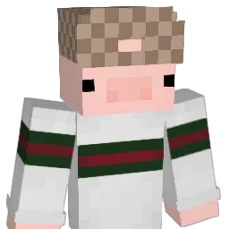 MegaLargePeenMan Minecraft avatar bust