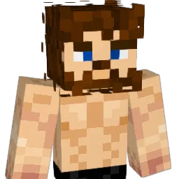 Megadiga Minecraft avatar bust