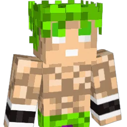 Megatallica115 Minecraft avatar bust