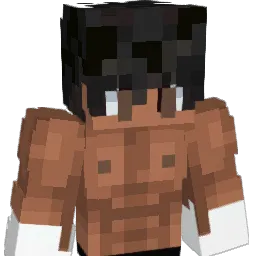 Meggets06 Minecraft avatar bust