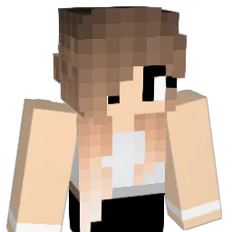 Meinevz Minecraft avatar bust