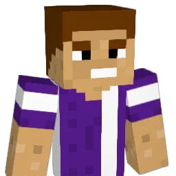 Meisexer Minecraft avatar bust