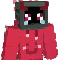 Mejirr