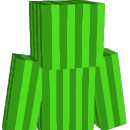 Melon_Guy10 Minecraft avatar bust