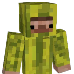 Melonboy28 Minecraft avatar bust