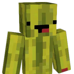 Melone67 Minecraft avatar bust