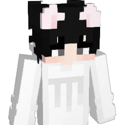 MerNanT