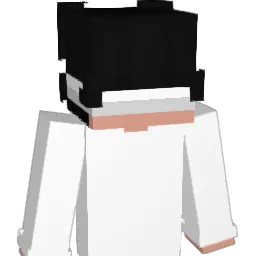 Mercenario Minecraft avatar bust