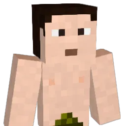 MestrArBed Minecraft avatar bust