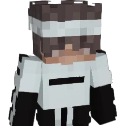 Metallizer's Minecraft skin
