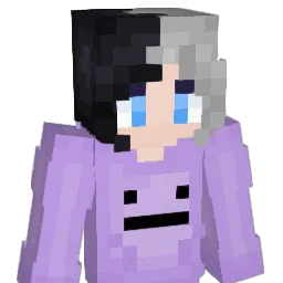 Metamon_0132's Minecraft skin