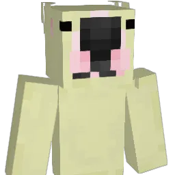 MetroPoof's Minecraft skin