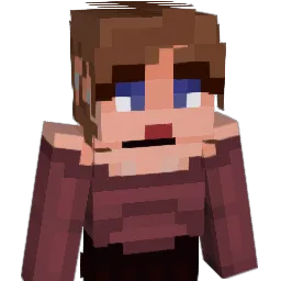 Mewn1404 Minecraft avatar bust