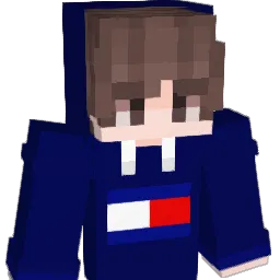MexAssociation Minecraft avatar bust